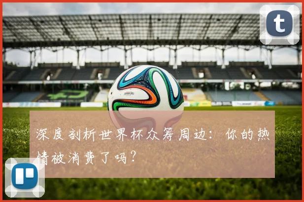 深度剖析世界杯众筹周边：你的热情被消费了吗？