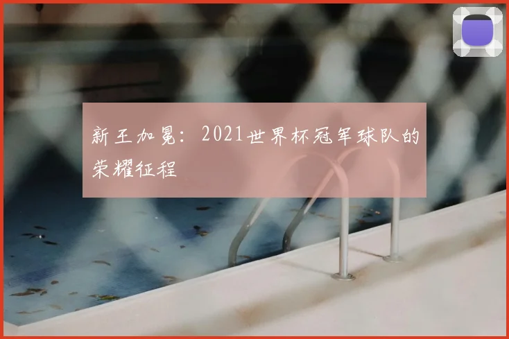 新王加冕：2021世界杯冠军球队的荣耀征程